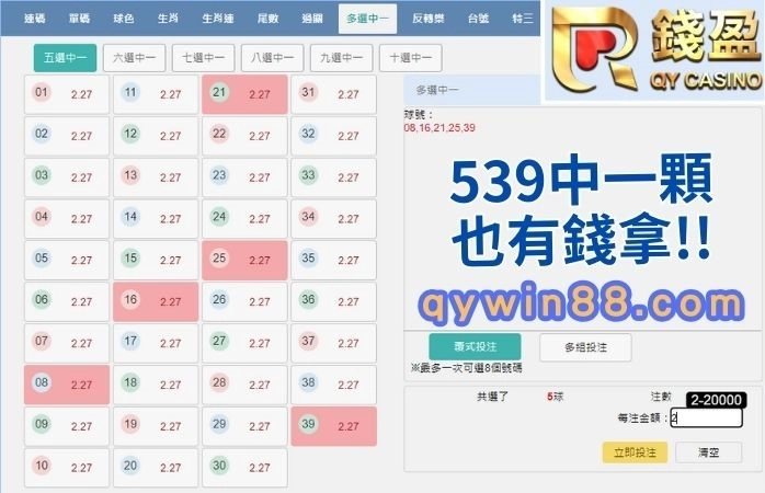 539多選中一玩法